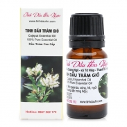 Tinh dầu tràm gió Hoa Ngọc 10ml