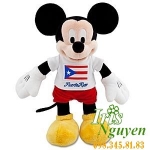 Chuột Mickey  Disney DN20