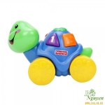 Rùa phát nhạc Fisher-Price